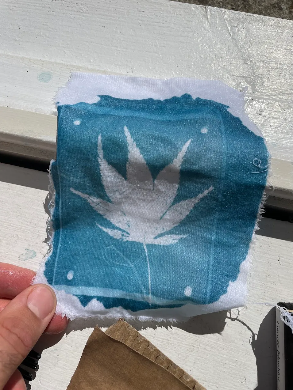 Cyanotype test square 2