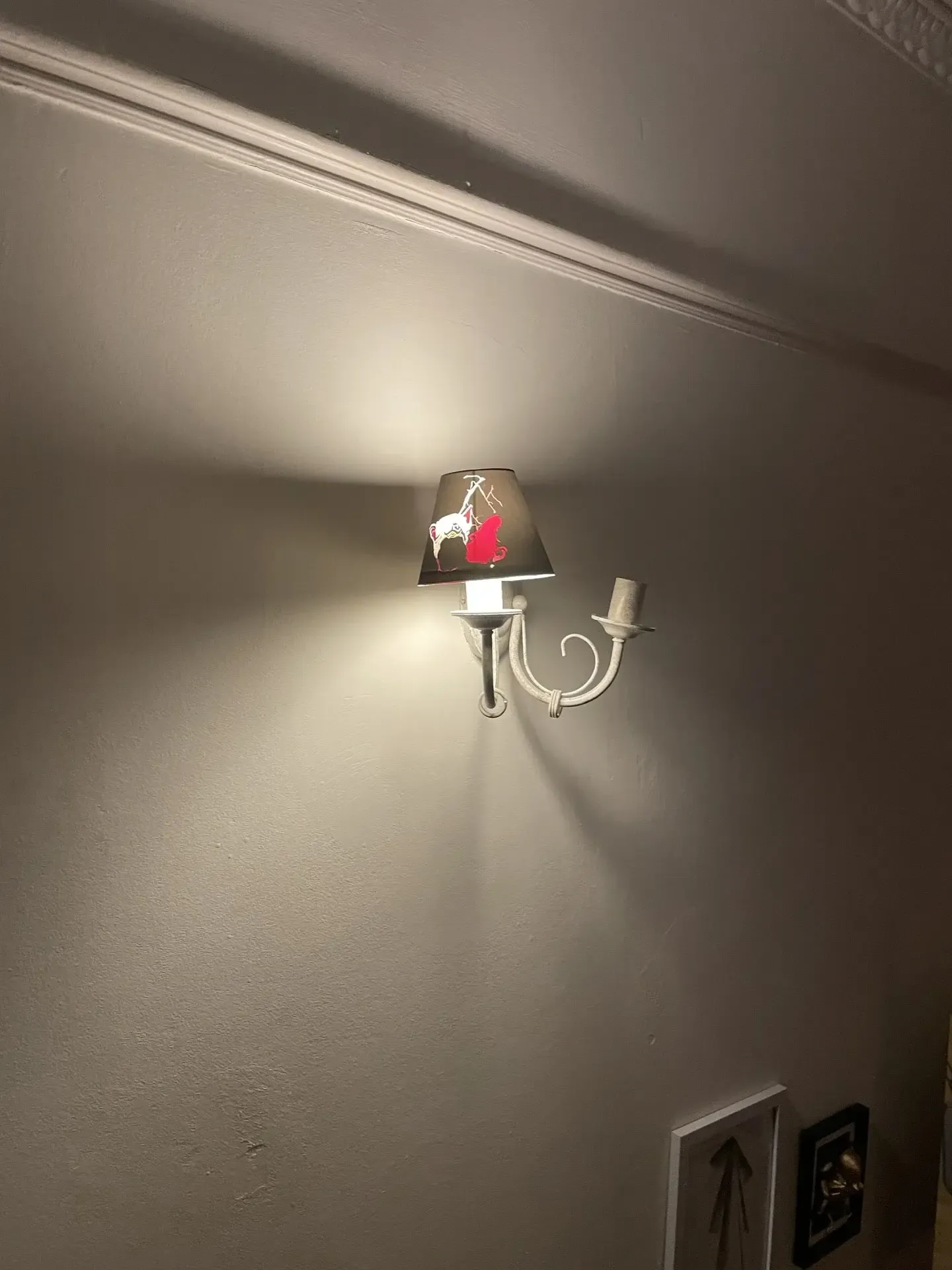 Mounted black lampshade from distance.