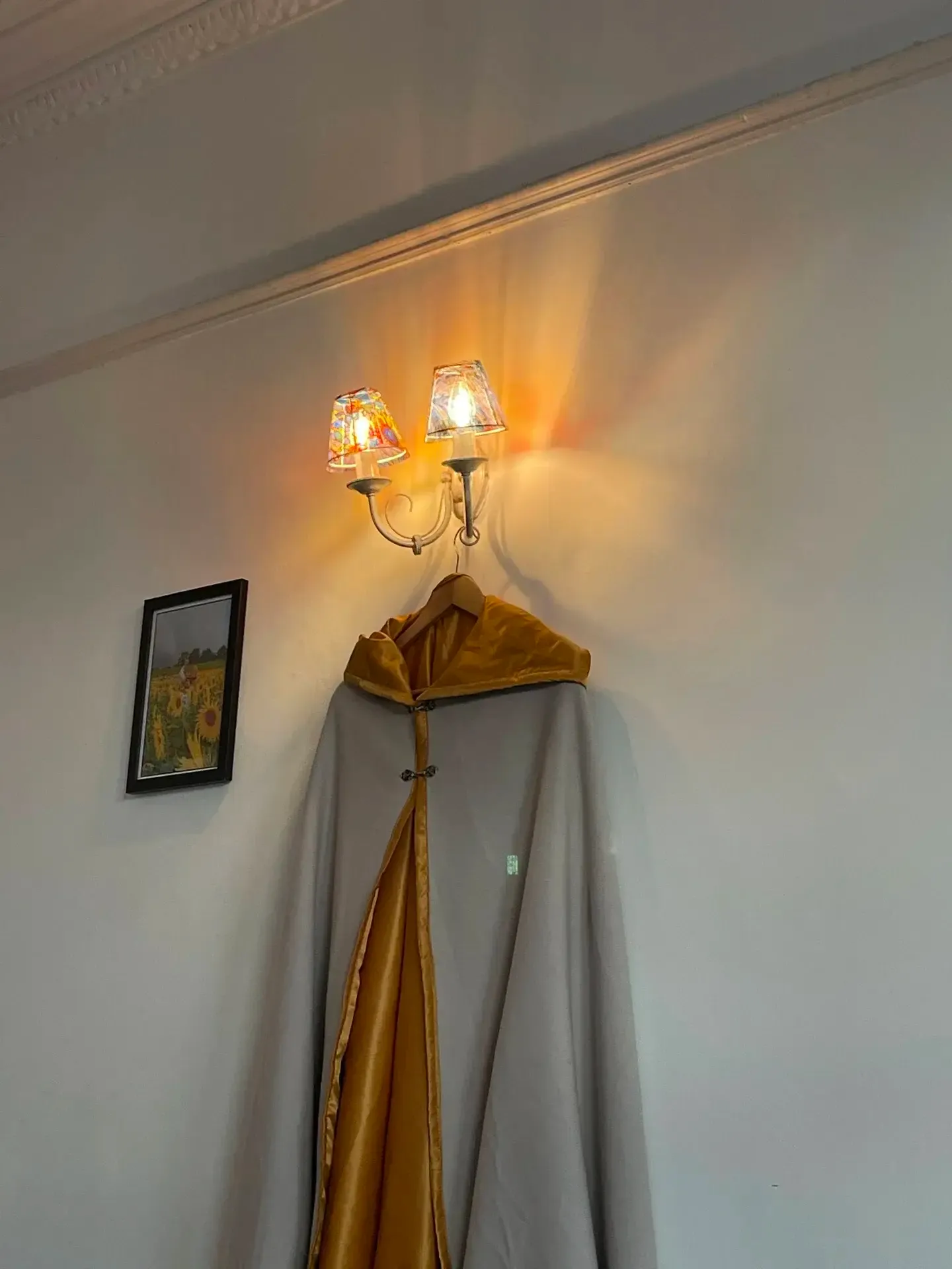 Mounted seethrough lampshade with cloak